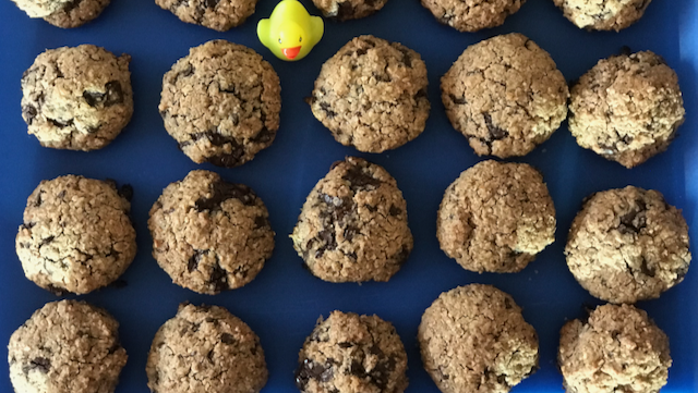 Chocolate Chip, Coconut and Oat Cookies